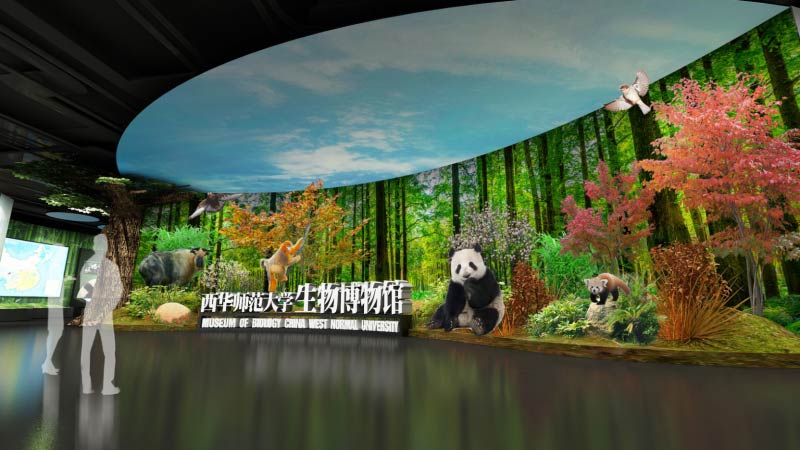 西华师范大学博物馆项目：中展建设文博一体化服务标杆